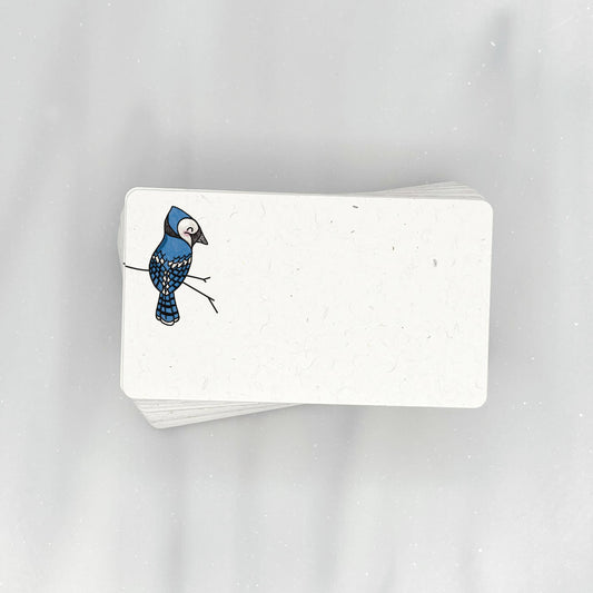 Beautiful Blue Jay - Mini Note Cards (Pack of 56)